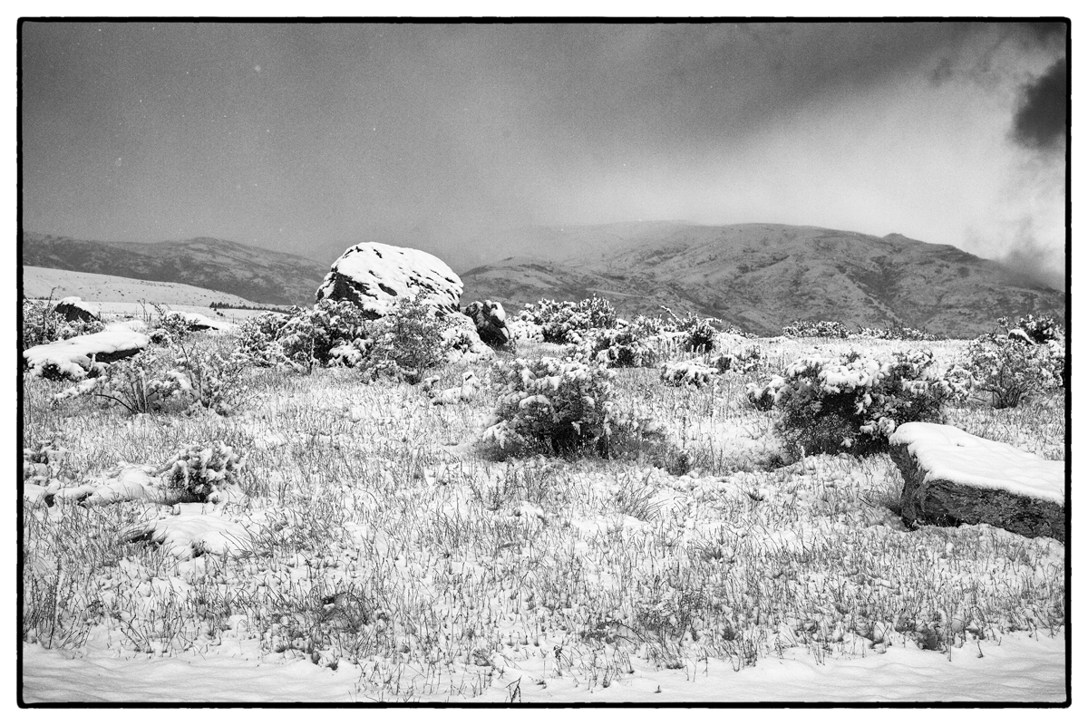  Central Otago Landscape Art