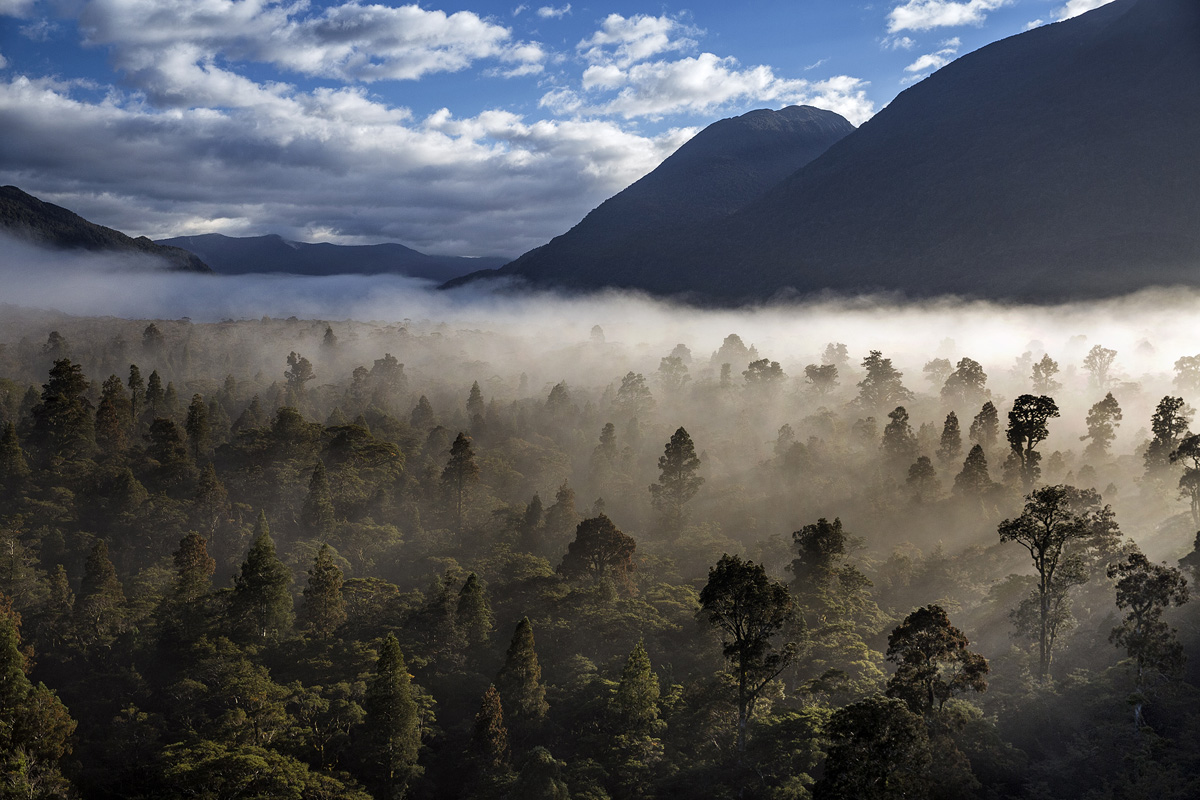 Primordial New Zealand landscape