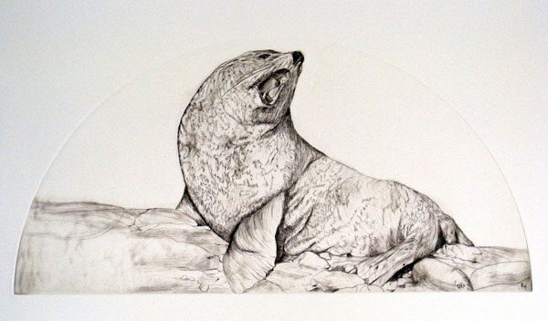 seal