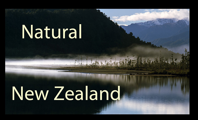 NZ Pure