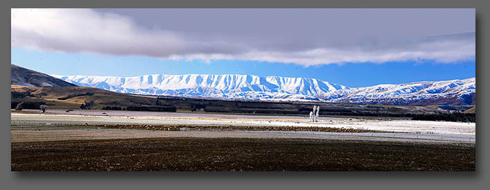 Arresting Landscapes