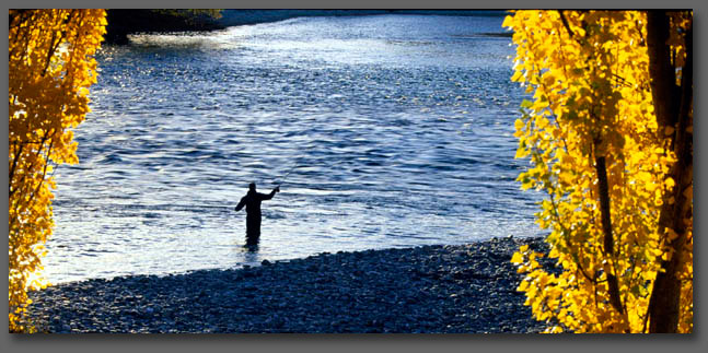 Fly Fishing in New Zealand