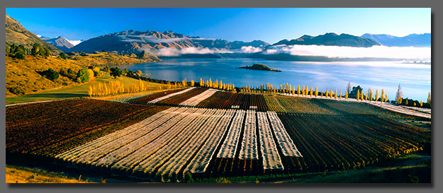 Lake Wanaka Lanscape Photos