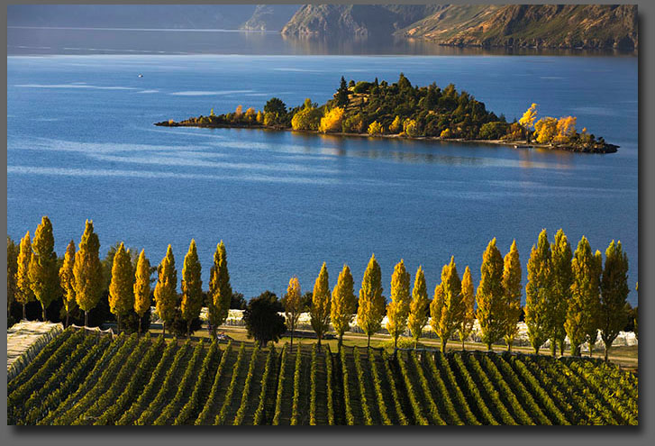 Ruby Island Lake Wanaka