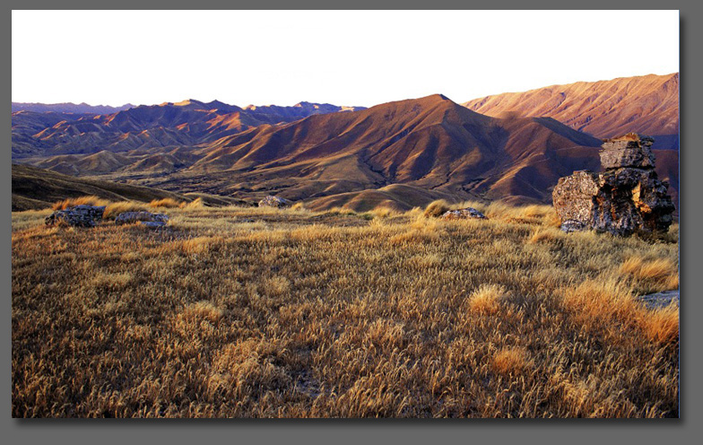 Mewmorable New Zealand Landscape Photos