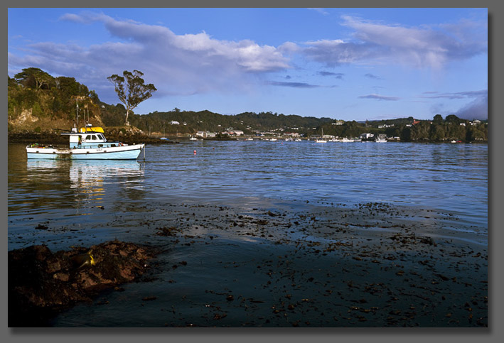 Half Moon Bay Stewart Island