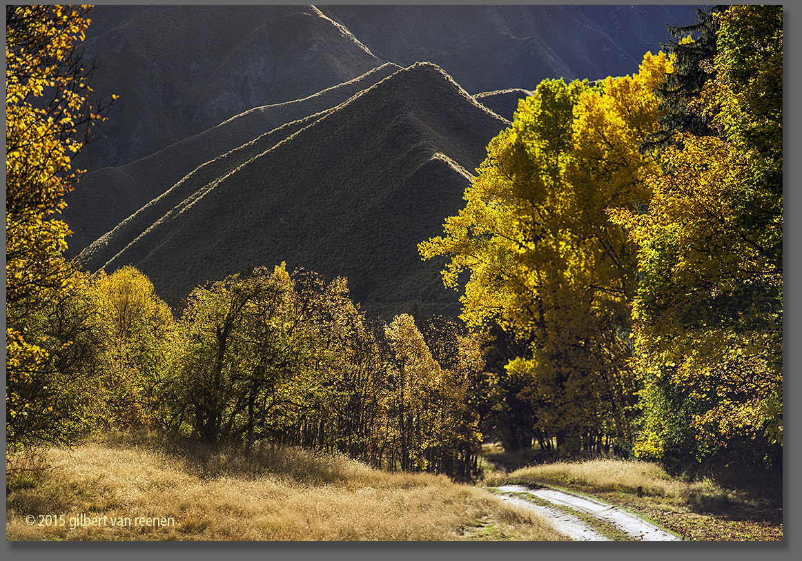 Phototours in New Zealand