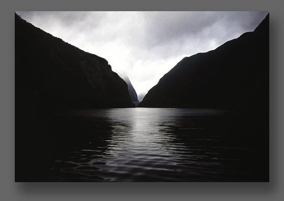 Fiordland Photo tours