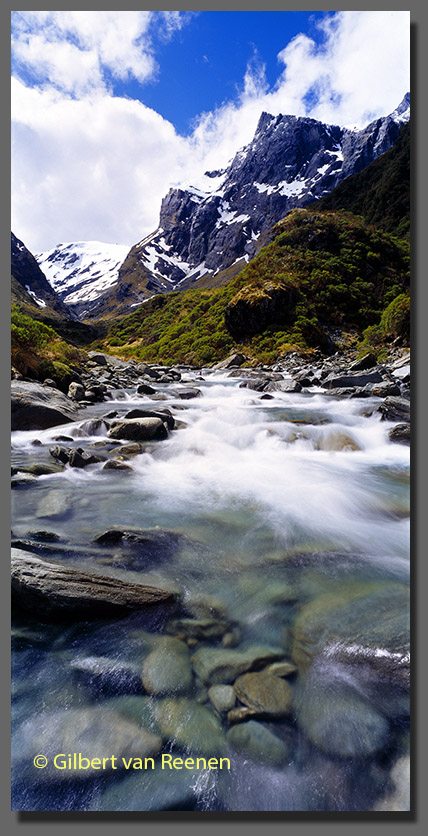 Wilkin Valley Mt Aspiring National Park